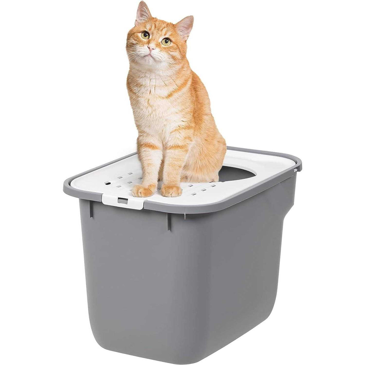 Top Entry Cat Litter Box A545