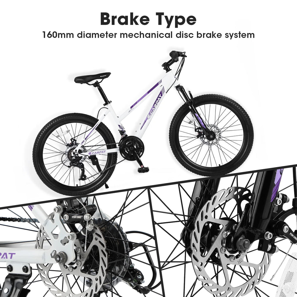 24 inch 21 Speeds Mountain Bike H286894