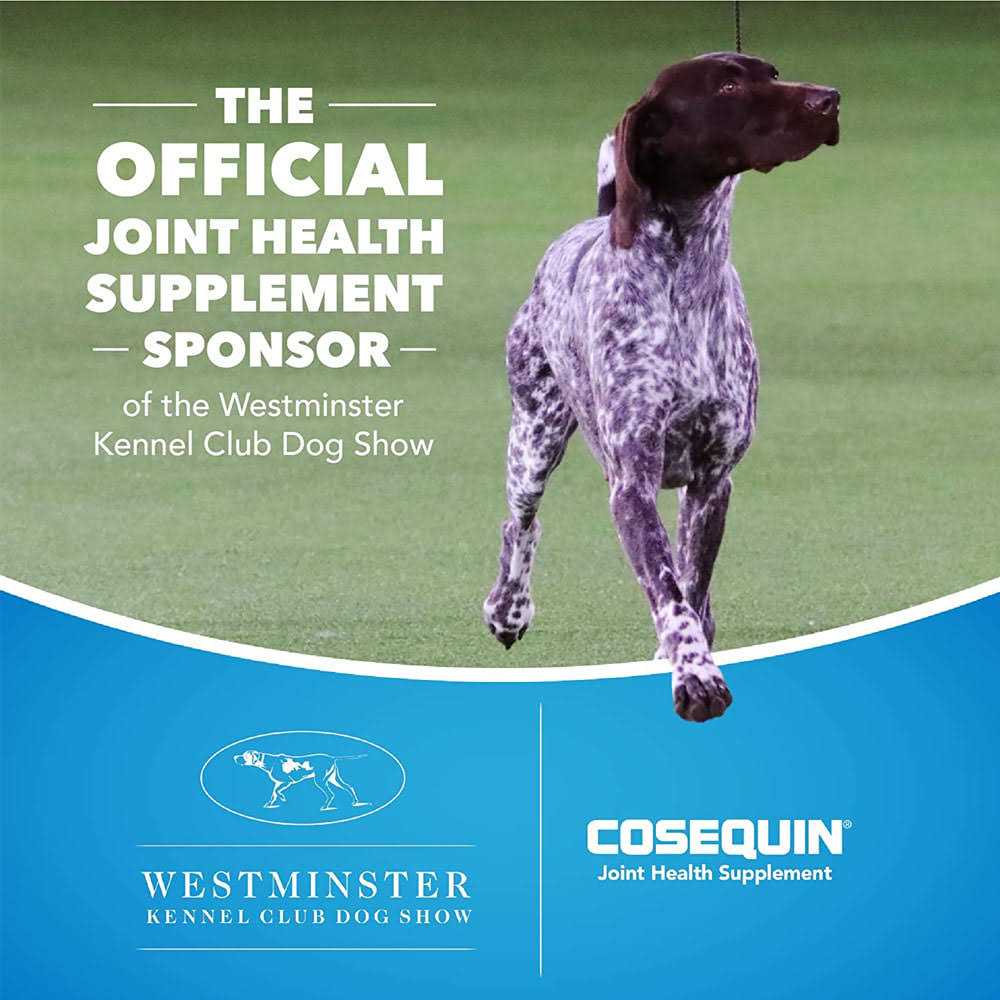 Joint Health Supplement for Senior Dogs W905