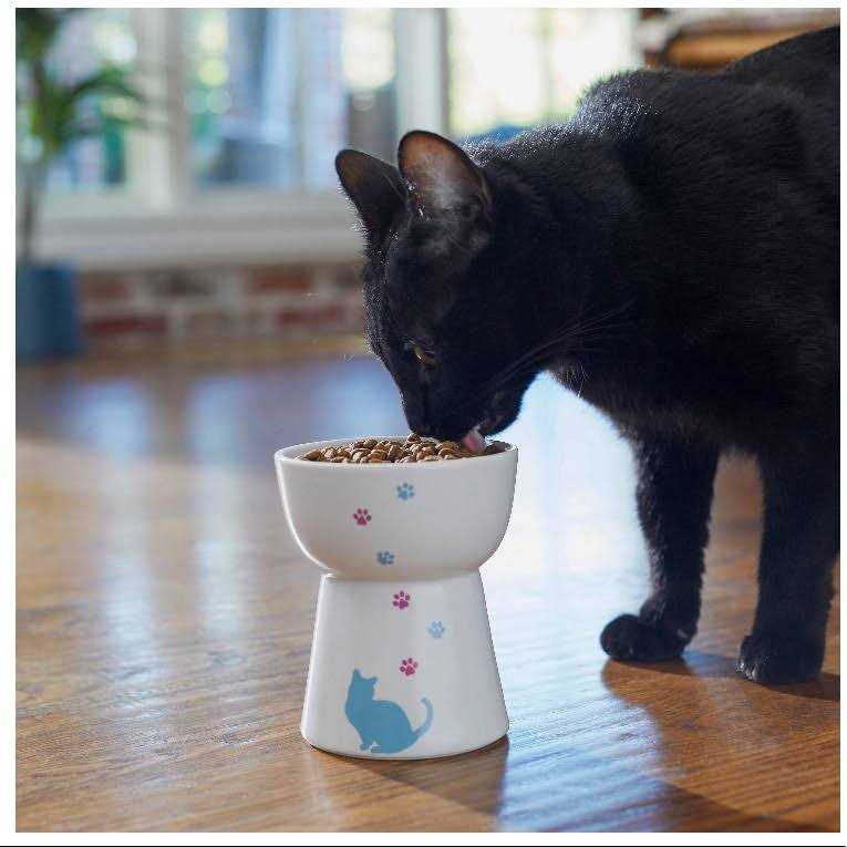 Elevated Cat Dish O2535