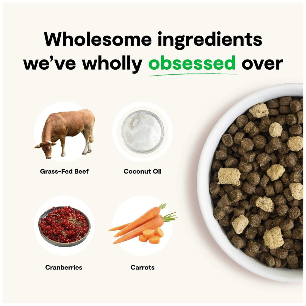 Grain Free Dog Food L463945