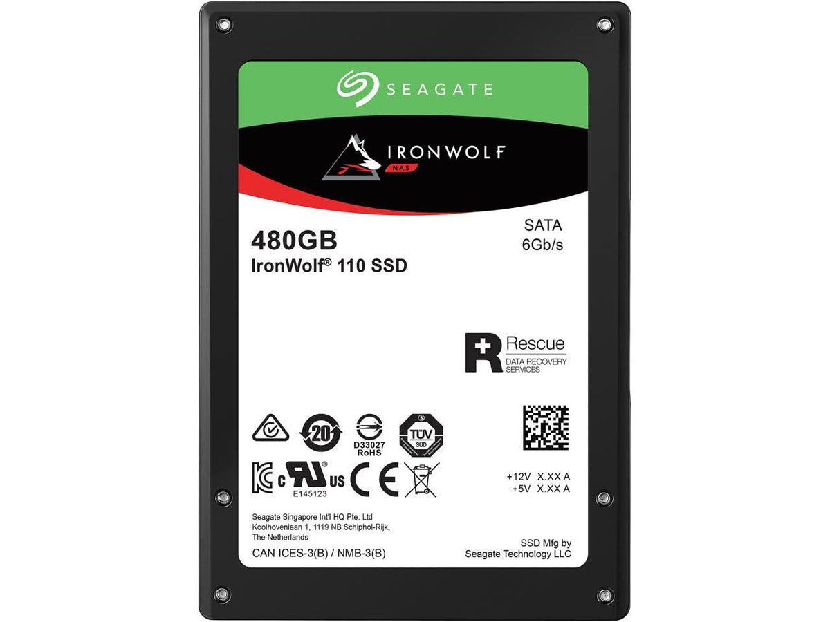 480GB SATA Internal Solid State Drive P124