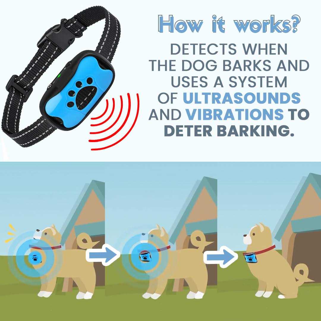 Anti-Bark Collar for Dogs T659883