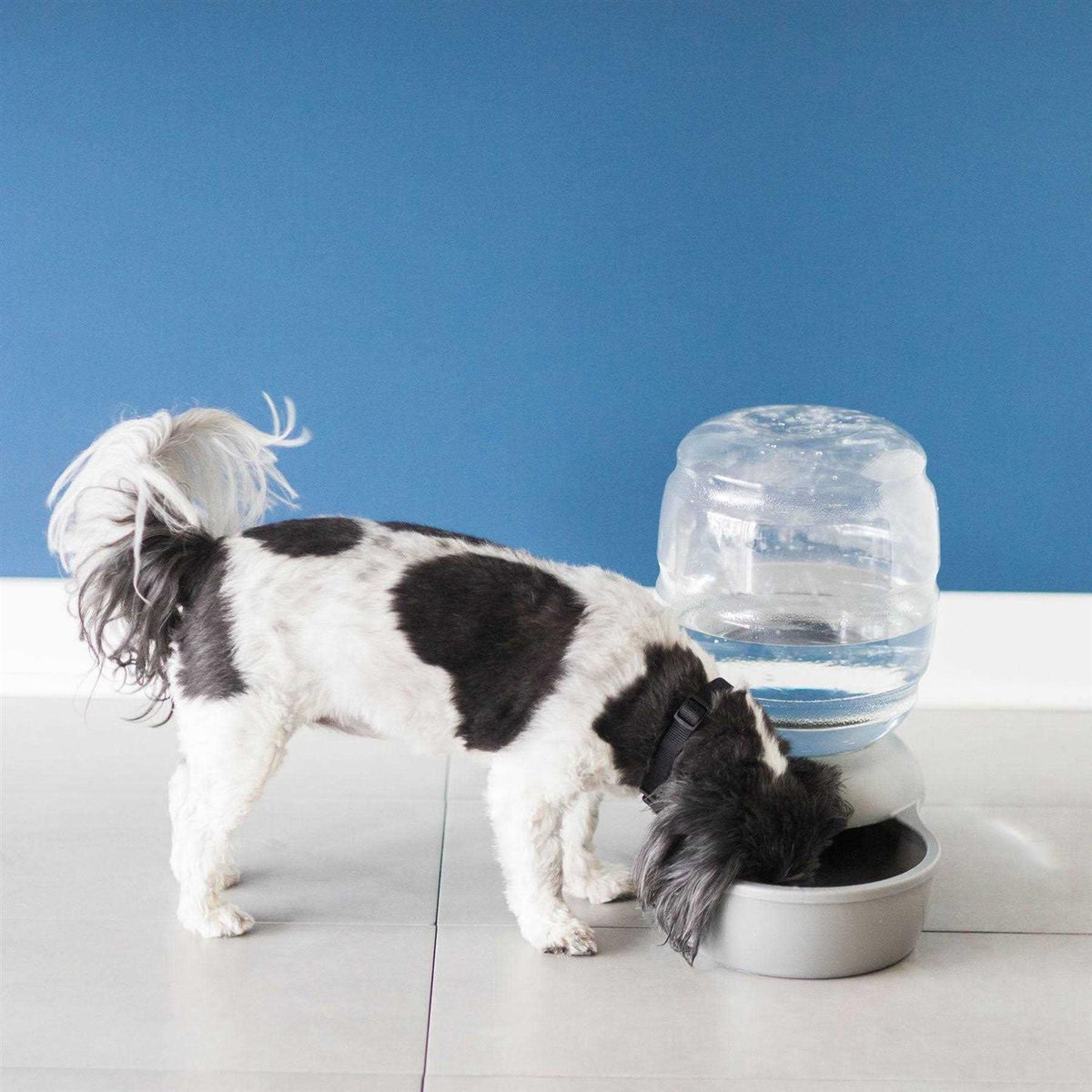 Pet Waterer W76263