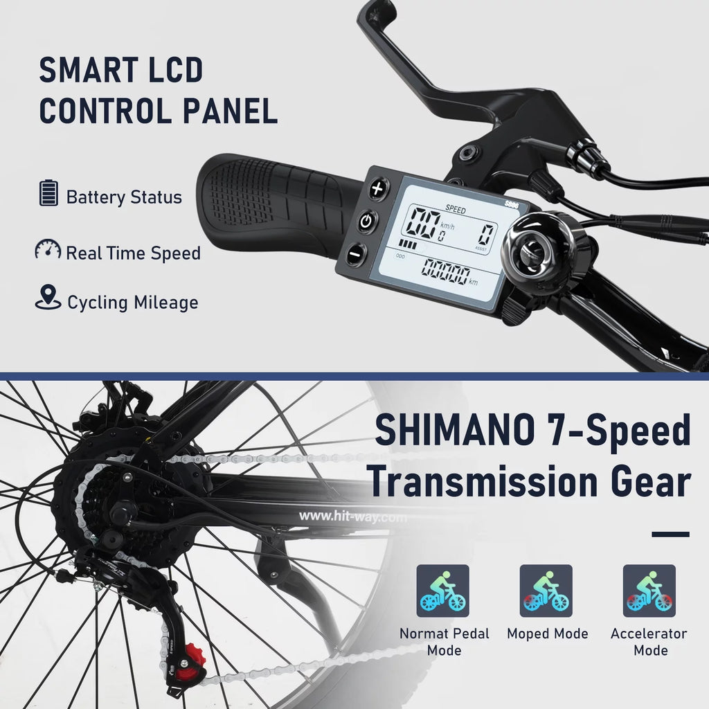 Fat Tire 750W 15AH 48V Electric Bike Q460