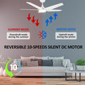 52-inch Indoor/Outdoor Smart Ceiling Fan with LED Light Kit & Remote D455