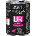 Wet Dog Food R123