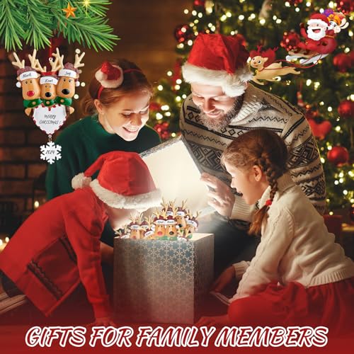 Reindeer Christmas Ornaments 3D Resin Family of 4 O463348