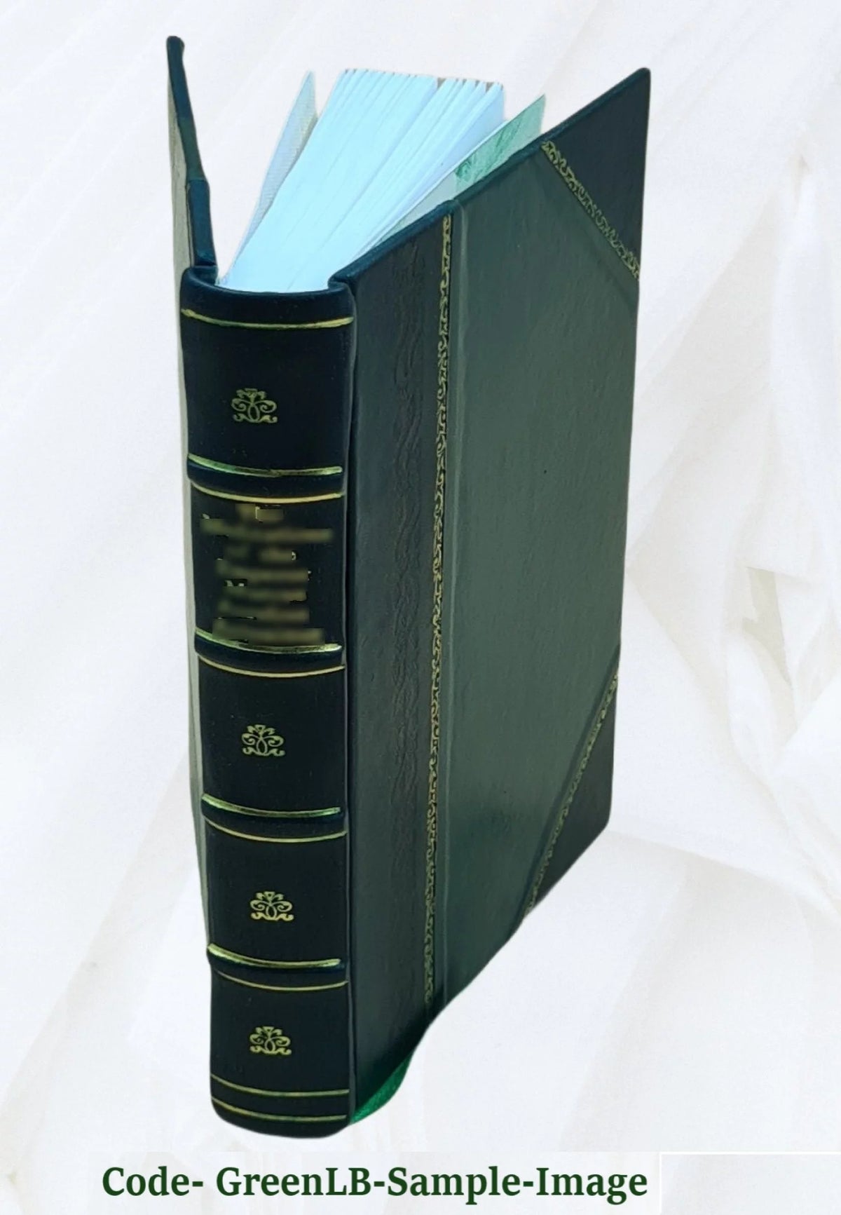 Leather Bound Book Y607