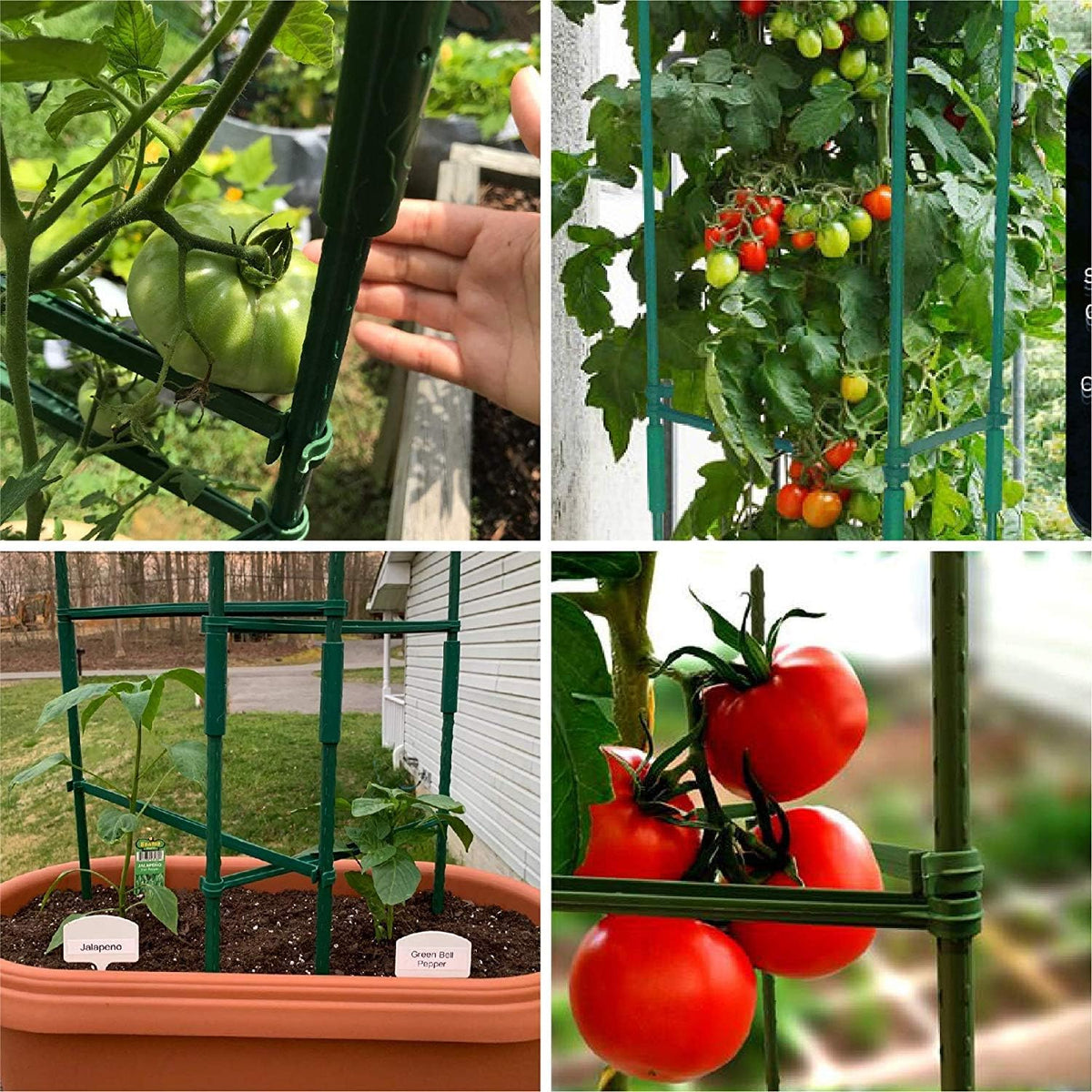 Tomato Cages Plant Supports with 9Pcs Clips Pack of 2 W981457