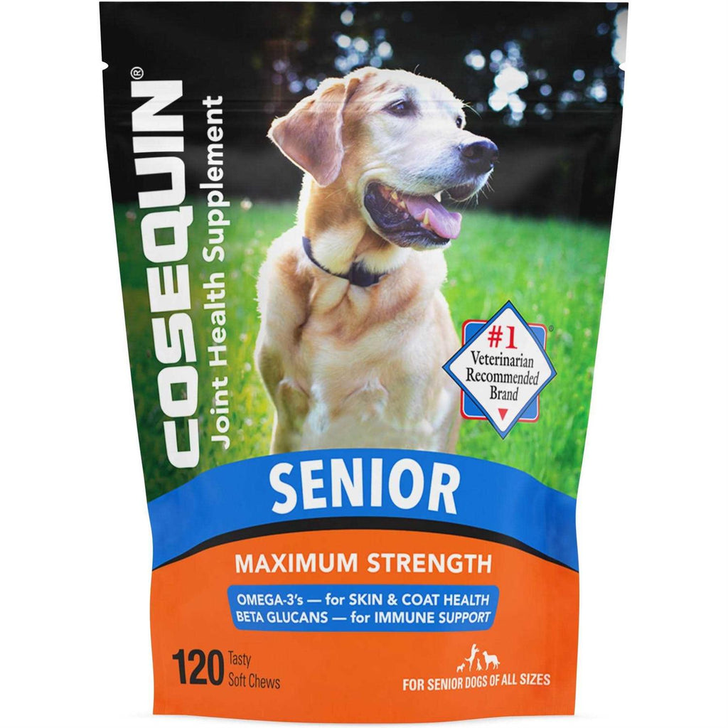 Joint Health Supplement for Senior Dogs W905